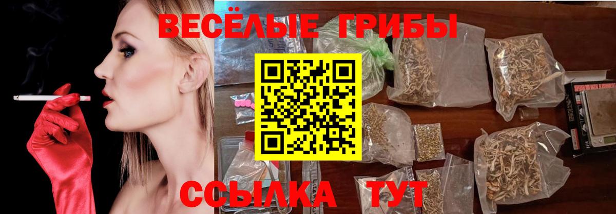 Псилоцибиновые грибы GOLDEN TEACHER  Вход с VPN  Ачхой-Мартан 